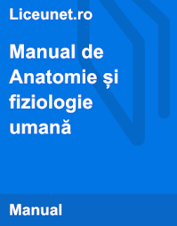 Capilarele din diverse țesuturi prezintă o serie. Marea È™i Mica CirculaÈ›ie Manual De Anatomie