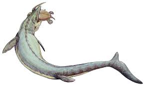 Archivo:Mosasaurus 21copy.jpg - Wikipedia, la enciclopedia libre