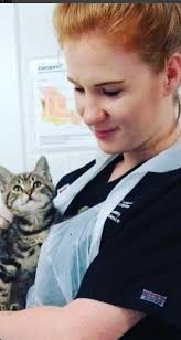 AVS and IVSA Elections 2018