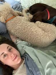 We had Hunter(red golden) for 4 years and in August we had a chance to add  2 year old Belle to our pack. I didn't know how Hunter would feel about it