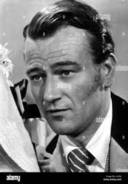 William mcgann hi-res stock photography and images