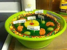 Check spelling or type a new query. Animal Cell Model Ideas For Your Science Project Easy And Creative Animal Cell Project Edible Cell Project Cells Project