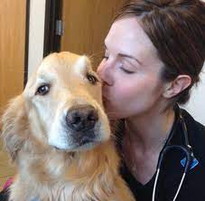 Welcome to vca bay area animal hospital! 24 Hour Pet Emergency Hospital In Traverse City Michigan