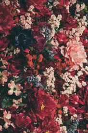 See more ideas about beautiful flowers, floral, pretty flowers. Flowers Flower Phone Wallpaper Floral Wallpaper Aesthetic Lockscreens