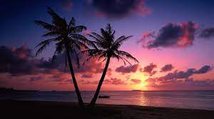 Silhouette landscape painting arecaceae sunset, sunset, animals, landscape, monochrome png. Sunset Painting Landscape Silhouette Clouds Sea Hd Wallpaper Wallpaper Flare