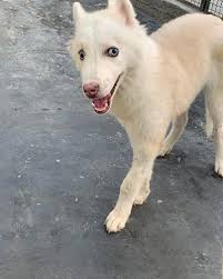 Maybe you would like to learn more about one of these? B Braun Vet Care