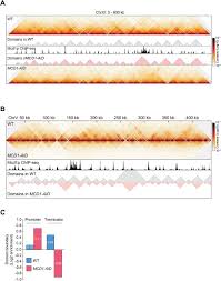 The software is still available to download from the google play store and in fact receives a large number of downloads each and every day. Cohesin Residency Determines Chromatin Loop Patterns Biorxiv