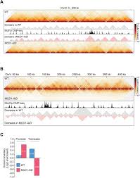 It takes less time to download videos in uc browser. Cohesin Residency Determines Chromatin Loop Patterns Biorxiv