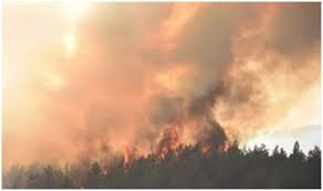 Aydos ormanı'nın sancaktepe ilçesi sınırlarında kalan bölümünde henüz belirlenemeyen nedenle yangın başladı. Istanbul Da Aydos Ormani Nda Yangin