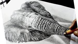 It was a mesmerizing memory to color it with our own imaginations and interests. How To Draw Realistic Elephant Realistic Elephant Drawing Realistic Animal Drawing With Pencil Youtube