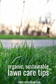 Organic Sustainable Lawn Care Tips Fairly Southern Lawn Care Tips Organic Lawn Lawn Care
