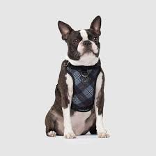 the everything no pull dog harness water resistant canada