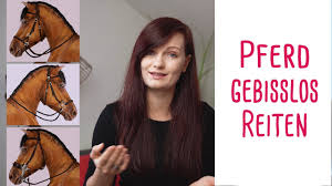 Check spelling or type a new query. Dein Pferd Auf Gebissloses Reiten Umstellen So Geht S Youtube