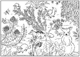 The Australia Flag Coloring Page Pics That We Give Bellow Was A Fantastic And Also Hip Design Descrip Animal Coloring Pages Australian Animals Animals Images