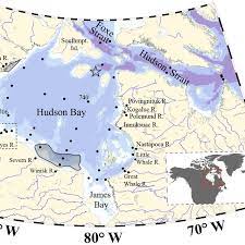 Bathymetric Map Of The Hudson Bay System Showing Stations Sampled Download Scientific Diagram