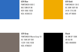 13 Explicit Pantone Color Chart Hex Codes
