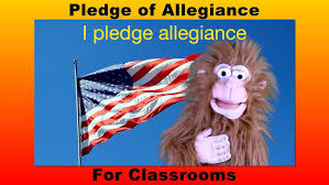 People recite the pledge of allegiance at public gatherings and ceremonies. Pledge Of Allegiance For Children Preschool Homeschooling Kindergarten Grade School Youtube