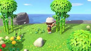 How To Get Bamboo In Animal Crossing New Horizons Animal Crossing Growing Bamboo Bamboo