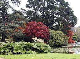 les plus beaux parcs et paysages anglais les plus beaux jardins paysage anglais beau parc