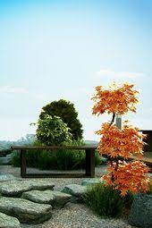 Zen Garden Big Rocks Bench Potted Tree Simple Zen Garden Design Zen Garden Garden Design
