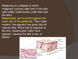 Too much sun can cause skin cancer. Melanoma Is A Cancer That Develops In Melanocytes The Pigment Cells Present In The Skin It Can Be More Serious Than The Other Forms Of Skin Cancer Ppt Download