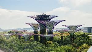 Singapore, officially the republic of singapore, is an island nation and the smallest country in southeast asia. How Singapore S Covid 19 Response Has Been A Model For Others Conde Nast Traveler