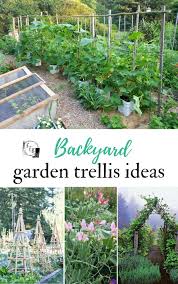 We did not find results for: Garden Trellis Ideas Family Food Garden Garden Trellis Sustainable Garden Garden Planning