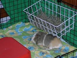 It keeps your hay more organized and separate. C C Diy Hay Rack