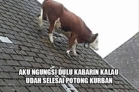 Sketsa merupakan gambar yang dibuat oleh seseorang yang pada umumnya belum dijadikan sebagai hasil karya akhir. Download Gambar Qurban Lucu Gokil Gambar Gambar Tentang Qurban Ini Dapat Selengkapnya Anda Lihat Di Bawah Ini Gambar Qurban Lucu Banget Pen Lucu Gambar Meme