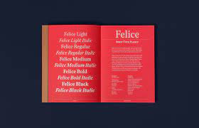 Felice The Book On Behance Blog Design Inspiration Books Editorial Design