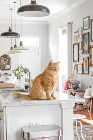 Simple Ways To Keep Cats Off Your Kitchen Counters Keeping Cats Off Counters Kitchen Remodel Cute Cats And Dogs