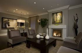 Matching Colors With Walls And Furniture Elegant Living Room Transitional Living Rooms Living Dining Room