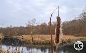 Larry's Trail: A rugged hike at Lake Jacomo