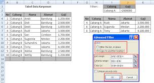 Cara Filter Data Dan Menampilkannya Pada Sheet Lain Dengan Fitur Advanced Filter Excel Adhe Pradiptha