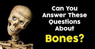 Curious questions that are guaranteed to make you smile, laugh, and giggle with your friends or family. Can You Answer These Questions About Bones Quizpug