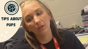 Why Are Dog Walks So Important?...