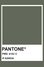 Pantone 4193 C Pantone Color Pms Hex Pantone Pantone Color Pantone Matching System