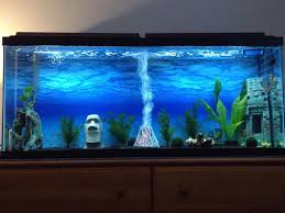100 Gallon Glass Aquarium Tank Fish Tank Themes Aquarium Fish Tank 10 Gallon Fish Tank