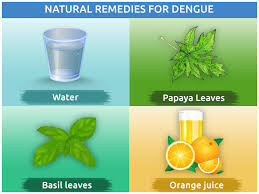 Dengue prevention in thailand, 2008. Natural Remedies For Dengue Fever Treatment At Home