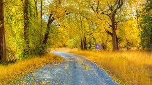 The great collection of 8k hd wallpapers for desktop, laptop and mobiles. 8k Pc 7680x4320 Wallpaper Teahub Io