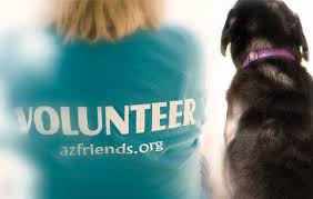Maybe you would like to learn more about one of these? Volunteer In Gilbert Animal Shelter Volunteers Friends For Life