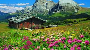 Landscape Wooden Mountain House Box With Spring Flowers Colorful Forest With Pine Trees Rocky Mountains B In 2020 South Tyrol Breathtaking Places Mountain Wallpaper