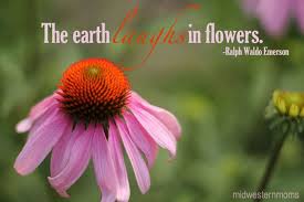 Beautiful Flowers In The Midwest With Quotes Photography Flower Quotes Beautiful Flower Quotes Garden Quotes