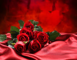 We did not find results for: Free Download Love Bouquet Flowers Red Roses 4k Wallpaper Best Wallpapers 4350x3380 For Your Desktop Mobile Tablet Explore 24 Roses Flower 4k Wallpapers Roses Flower 4k Wallpapers Flower Print