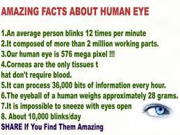 Human eyes are one of the most interesting and fascinating parts of our body. Facts About Our Eyes Steemit