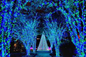10 Botanical Gardens With Wow Factor Winter Transformations Atlanta Botanical Garden Holiday Lights Holiday Nights