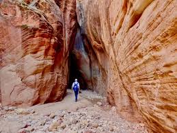 For overnight trips into paria canyon and buckskin gulch, you must apply for and purchase a permit in advance. The Wave Permits Coyote Buttes Buckskin Gulch And Vermilion Cliffs