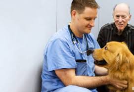 First the radiation therapist prepares the room. The Non Profit Difference The Animal Medical Center