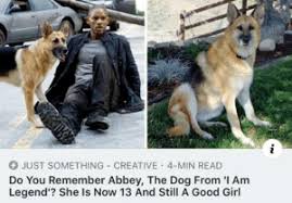 Viral videos, image macros, catchphrases, web celebs and more. 25 Best I Am Legend Memes But The Memes Abbey Memes I Am Memes