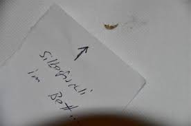 Zur bekämpfung der insekten eignen sich einfache hausmittel. Leider Ein Silberfischchen Im Bett Picture Of Hotel Haus Homann Ravaisch Tripadvisor